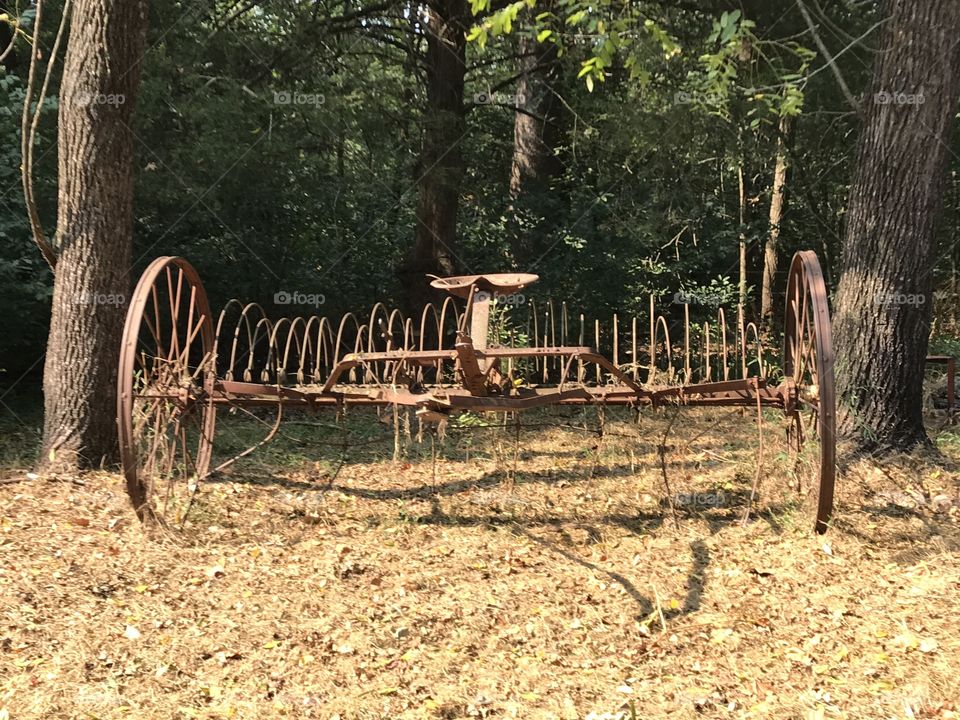 A vintage hay rake with a wooded area behind it. 
