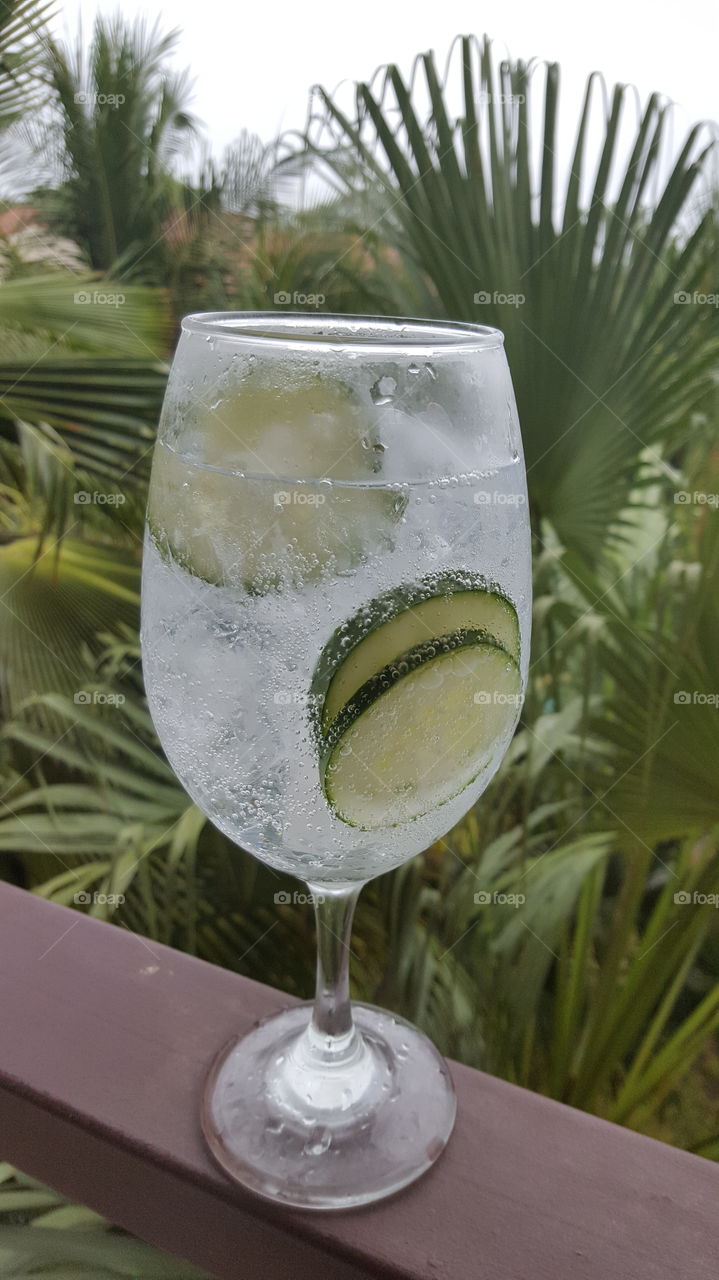 Delicious Gin Tonic with cucumber