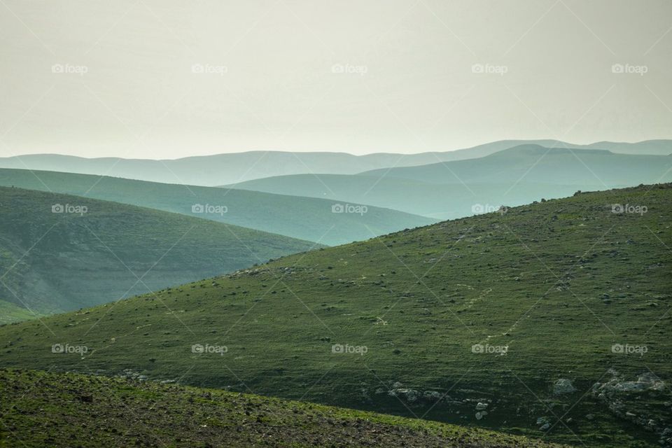 Green hills of Israel 