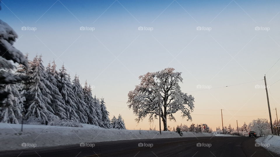 mountain top snow