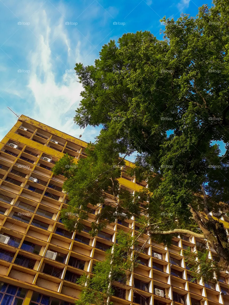 Arquitetura