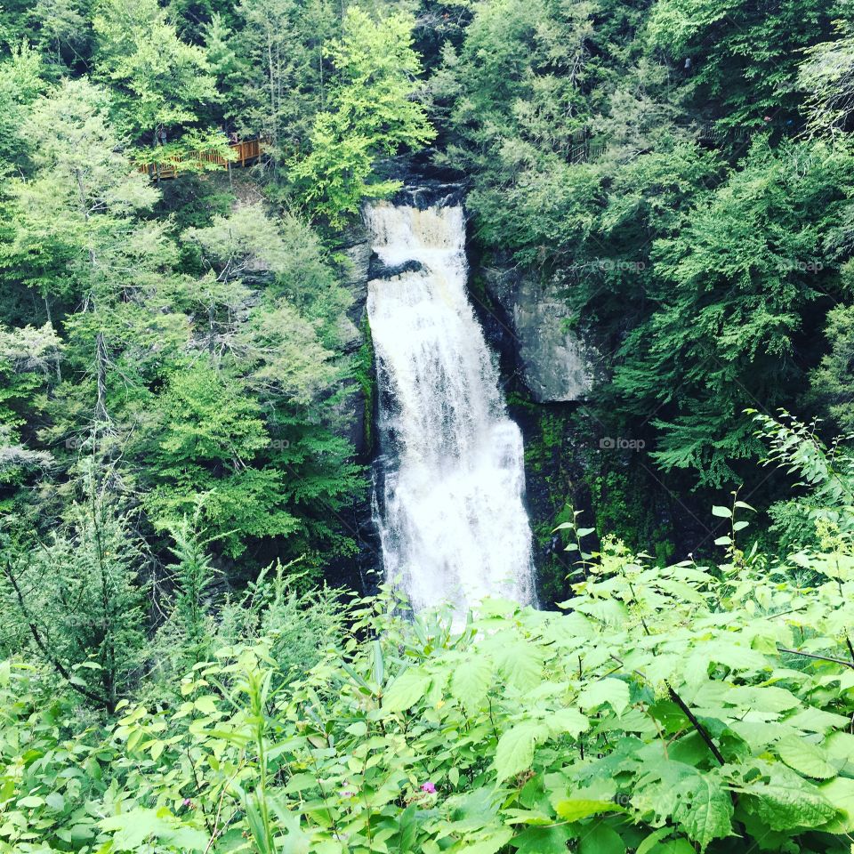 Waterfall in NY
