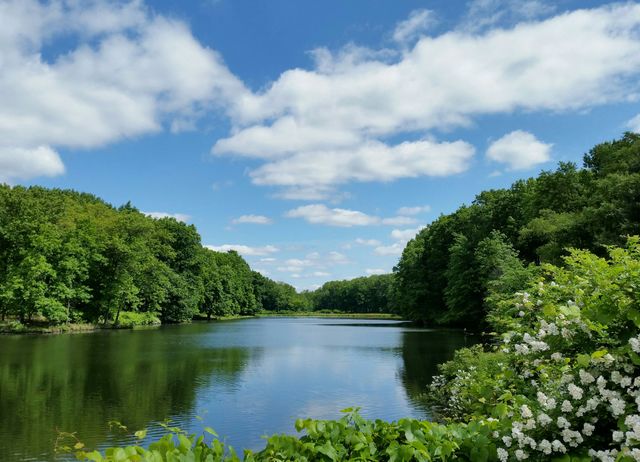 Spring at Tallmadge OH 