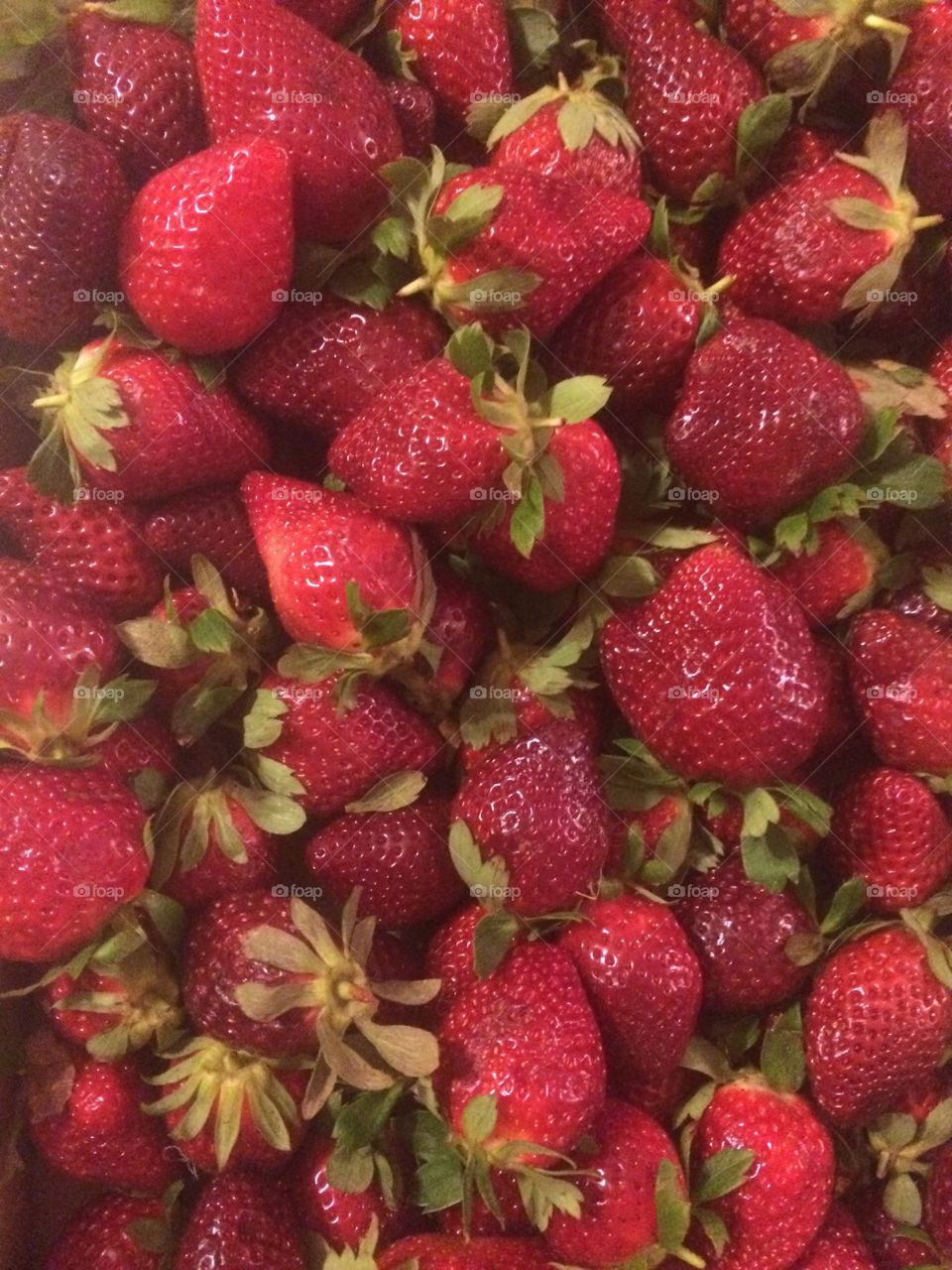 Strawberry harvest