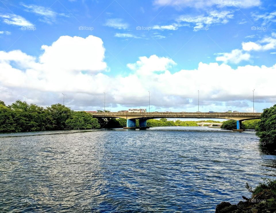 Recife pontes