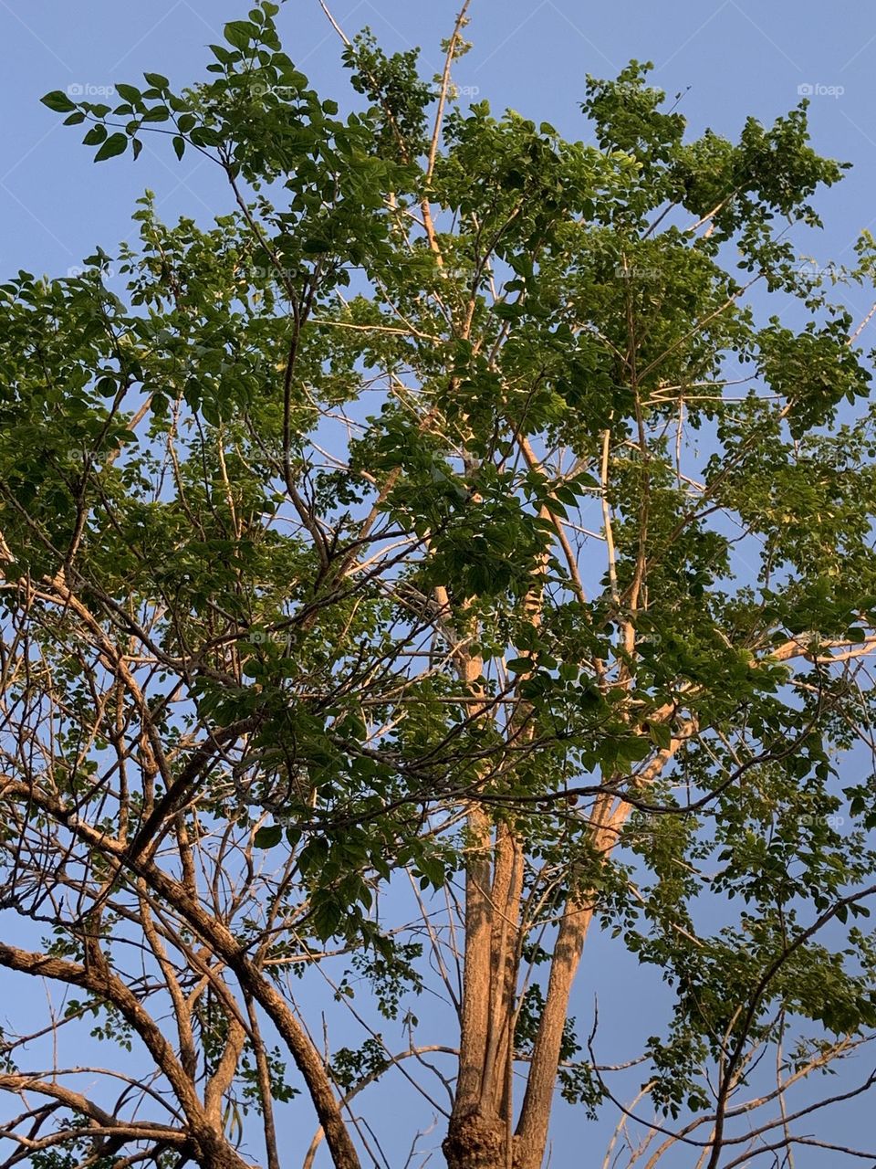 The stories of the nature, Countryside (Thailand)