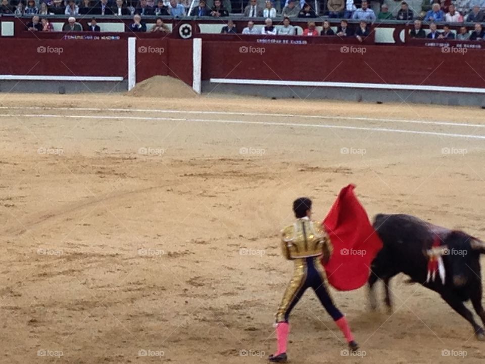 Bullring, Bullfighter, Bull, Stadium, Courage