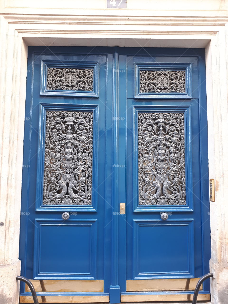 Wooden dark blue entrance door with metal grate