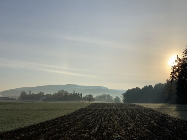 Village 