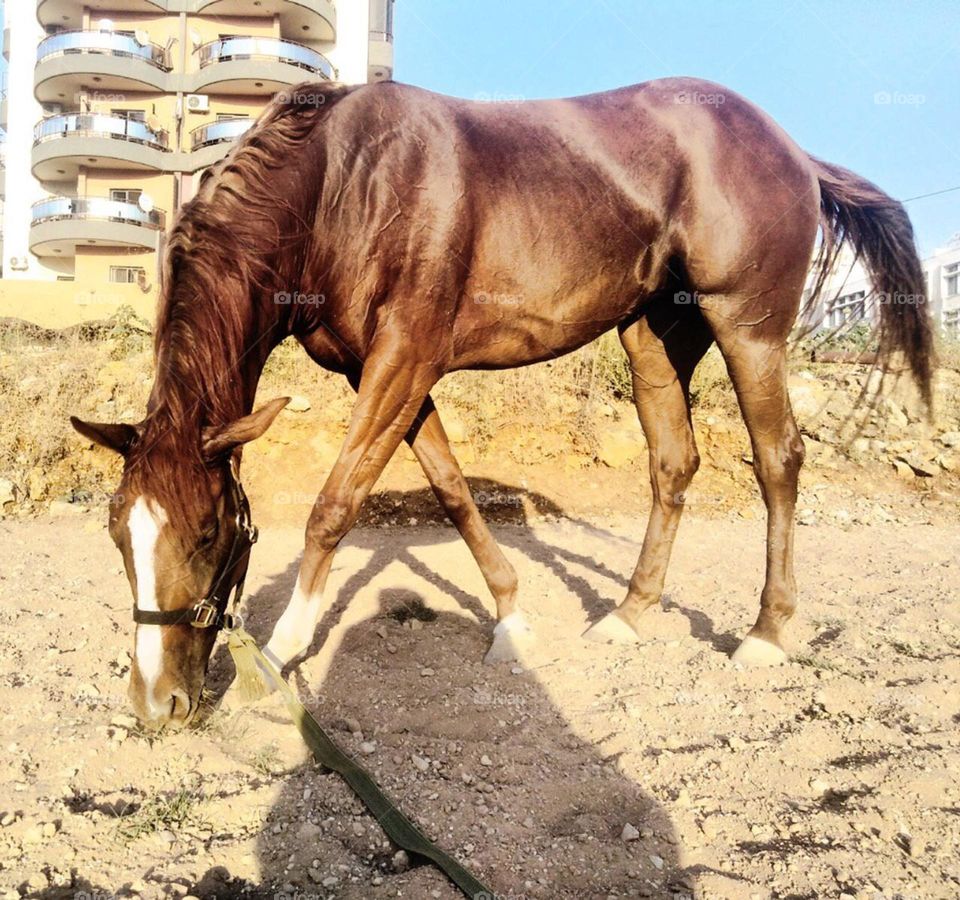 Which river in your eyes runs,