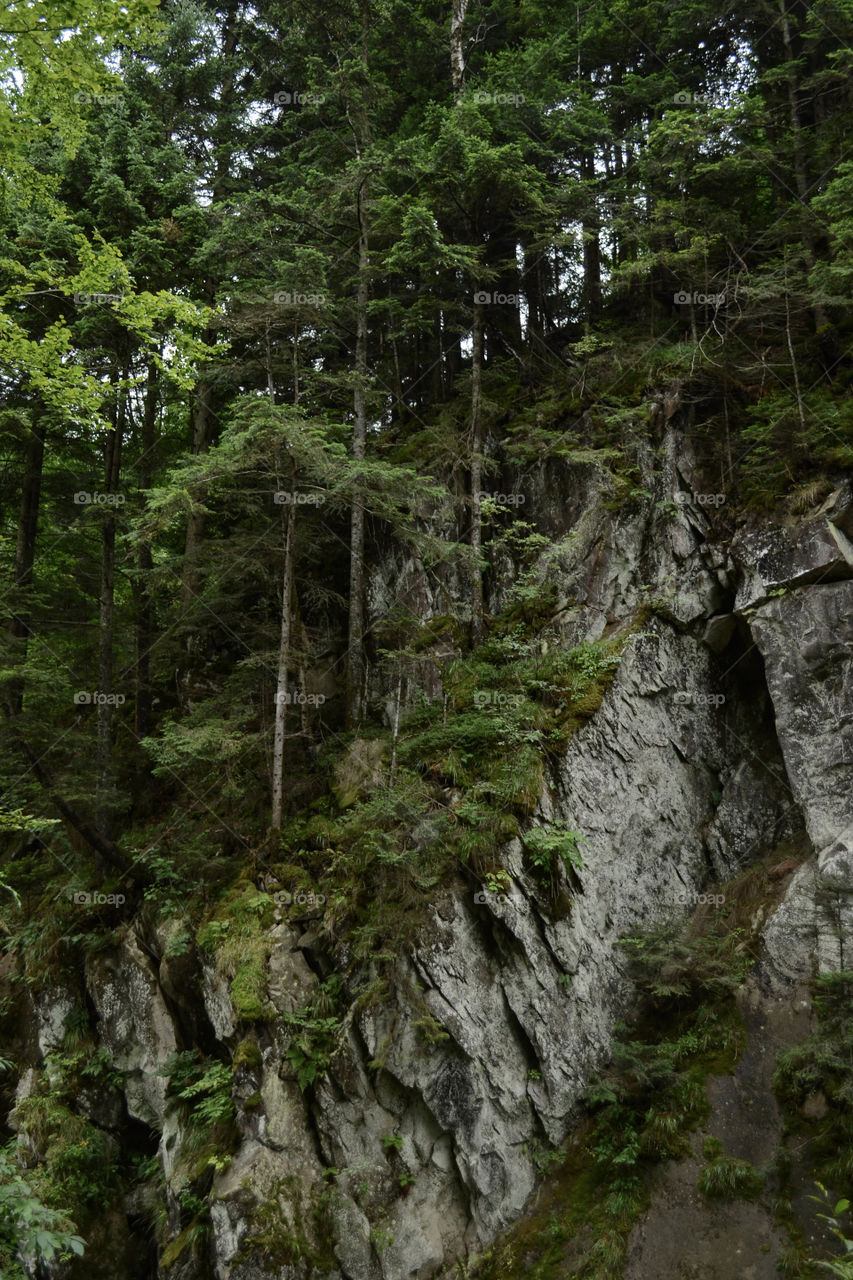 beautiful view in the carpathians, rocks, trees, mountains