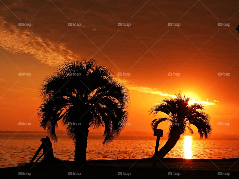 Magic sunrise and sunset - A beach sunset with palm tree silhouettes gives most people a wonderful, calm peacefulness. How do you feel that way when you see a sunset view with palm trees in the mix?