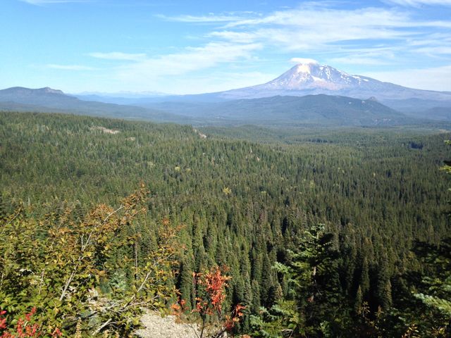 Mt. Adams, Washington.