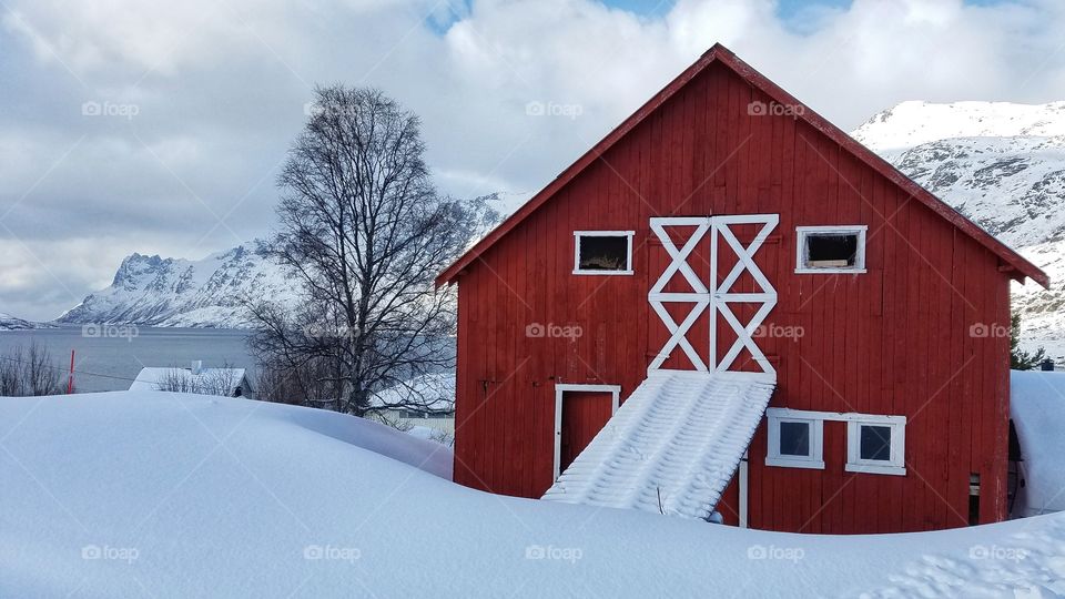 Winter cabin