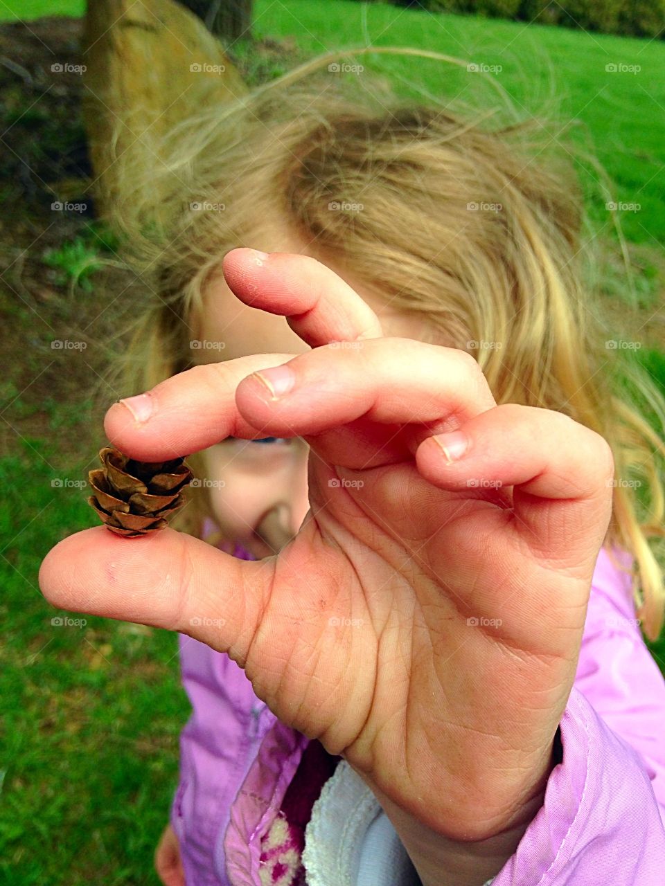 Tiny Pinecone 