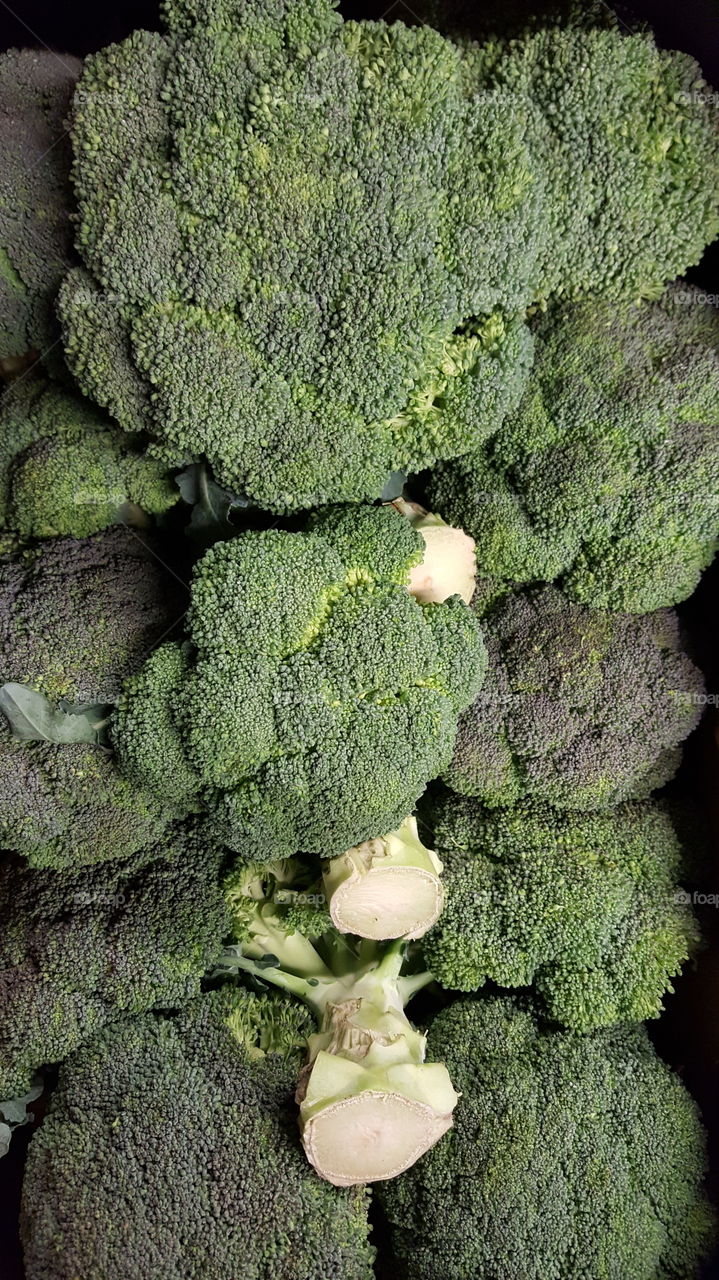 Fresh broccoli