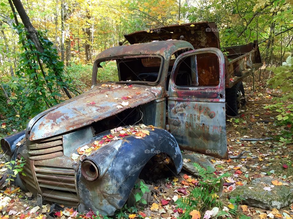 Wrecked car in woods