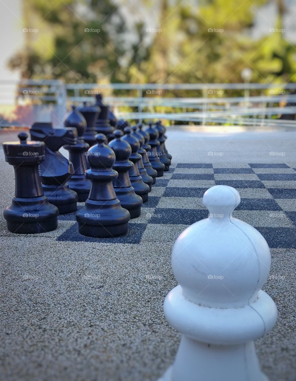 big size chess