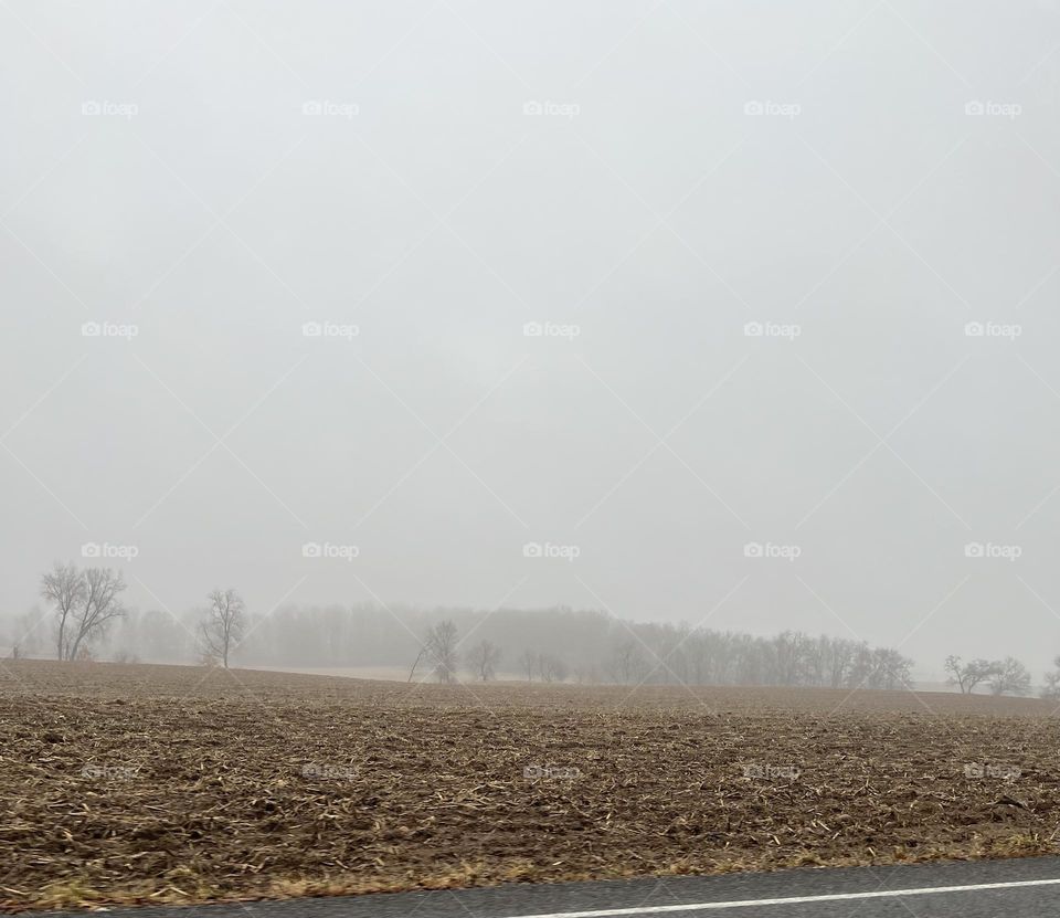 Fog/mist over a field on a rainy day
