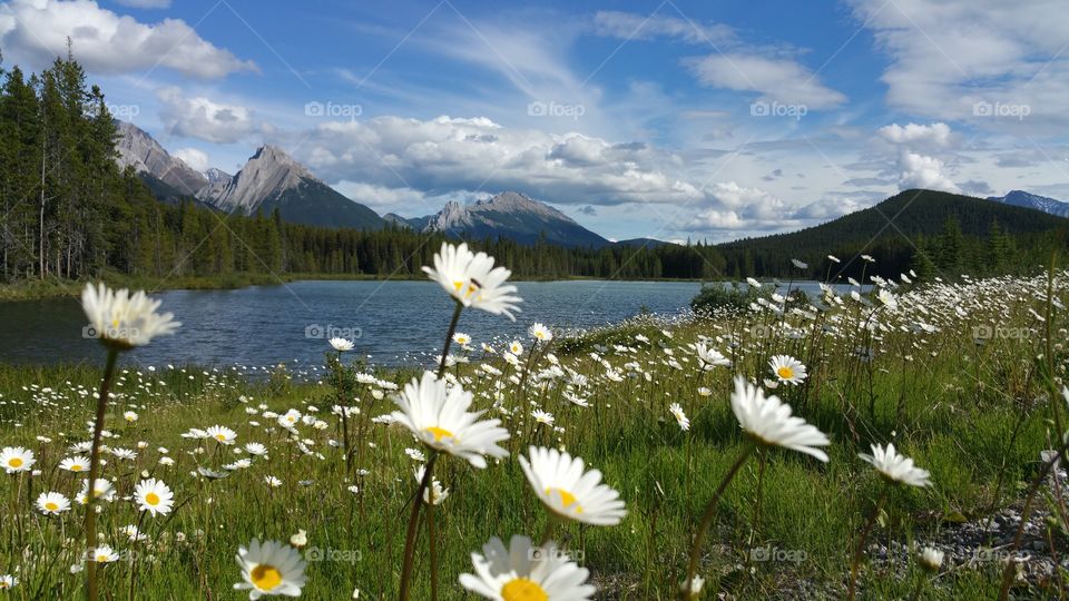 peterlougheed provincial park