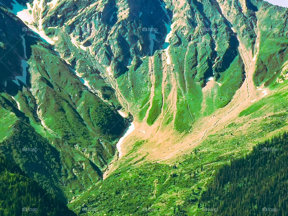 Mountain meadows