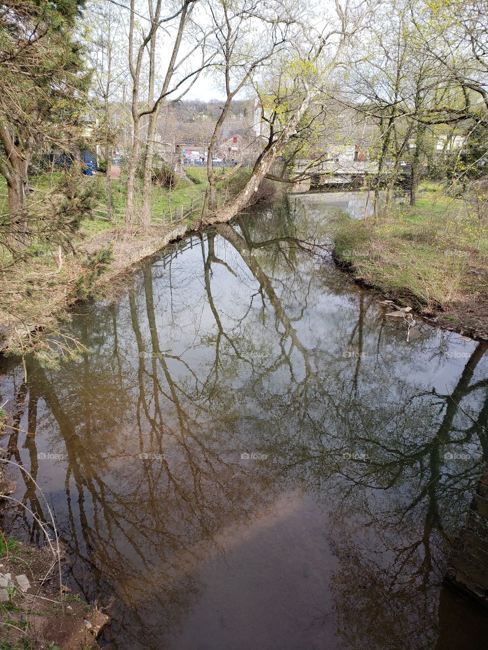 Canal view