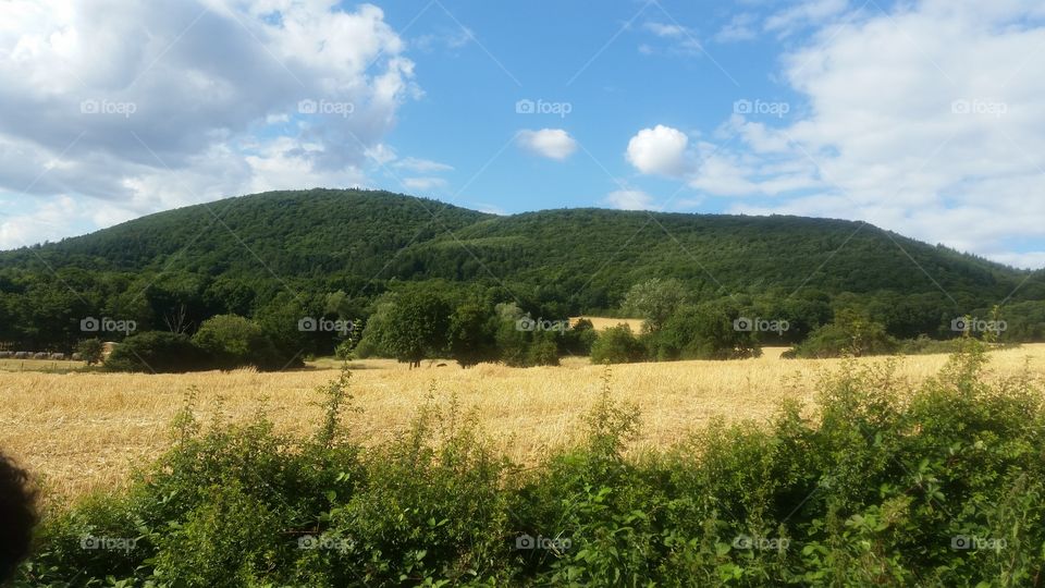 Germany landscape. Image from a trail in a German village