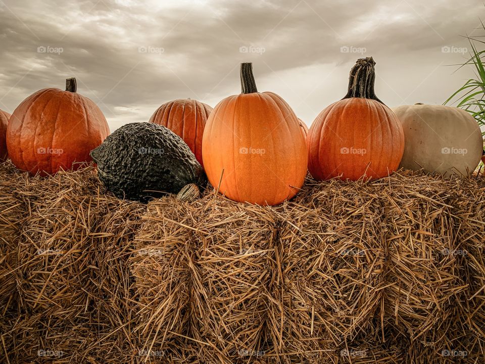 Pumpkins