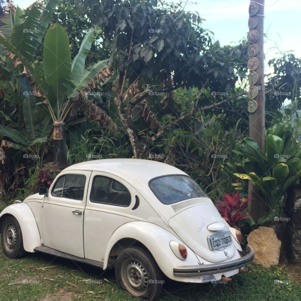 Volkswagen Beetle, Parati, Brazil