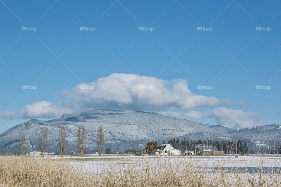 Snowy farm 