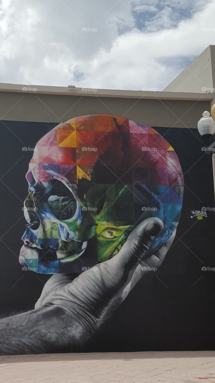 Skull in hand mural
