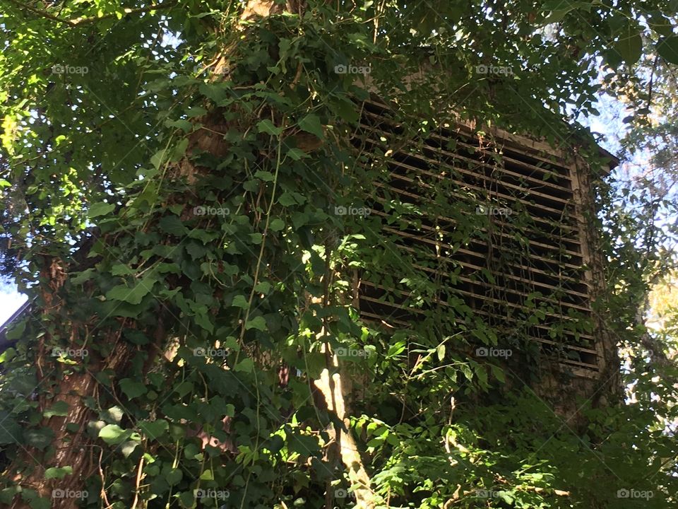Building at the Fountain of Youth in St Augustine Florida 
