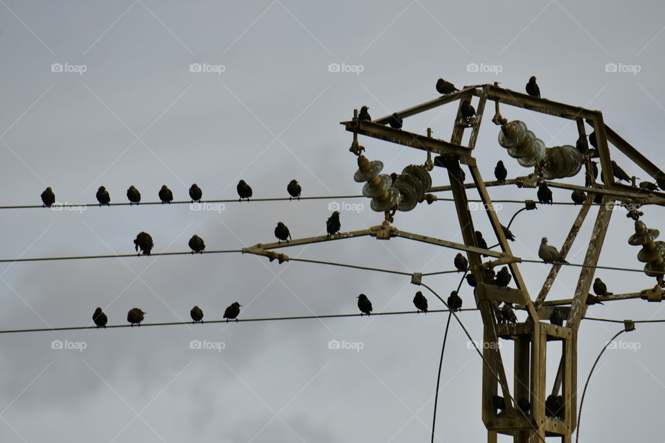Puerto de Catarroja, Valencia, Spain