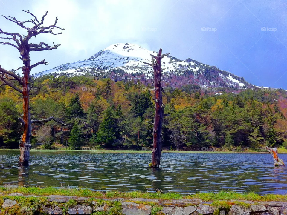 MOUNTAIN