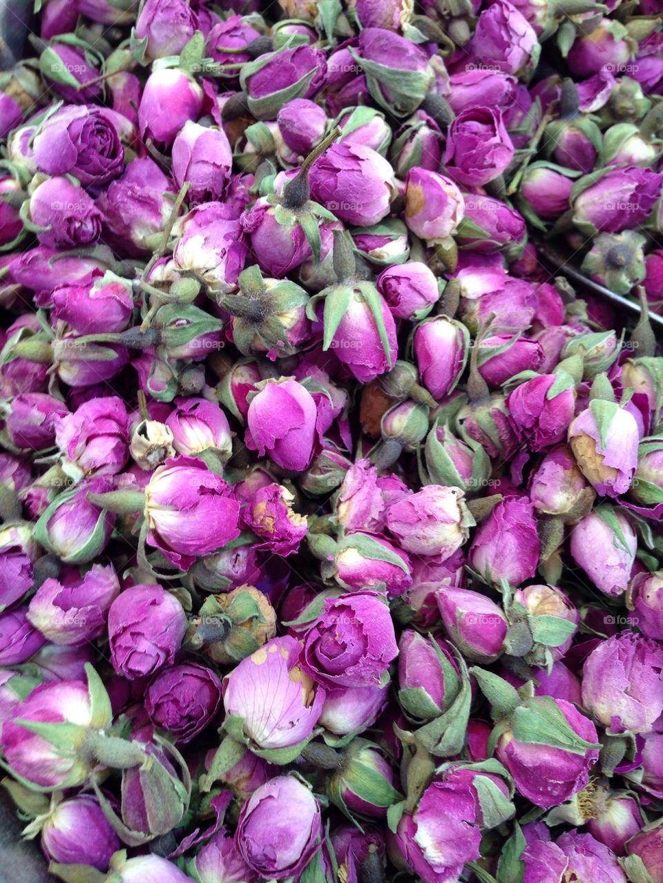 Purple mini roses 