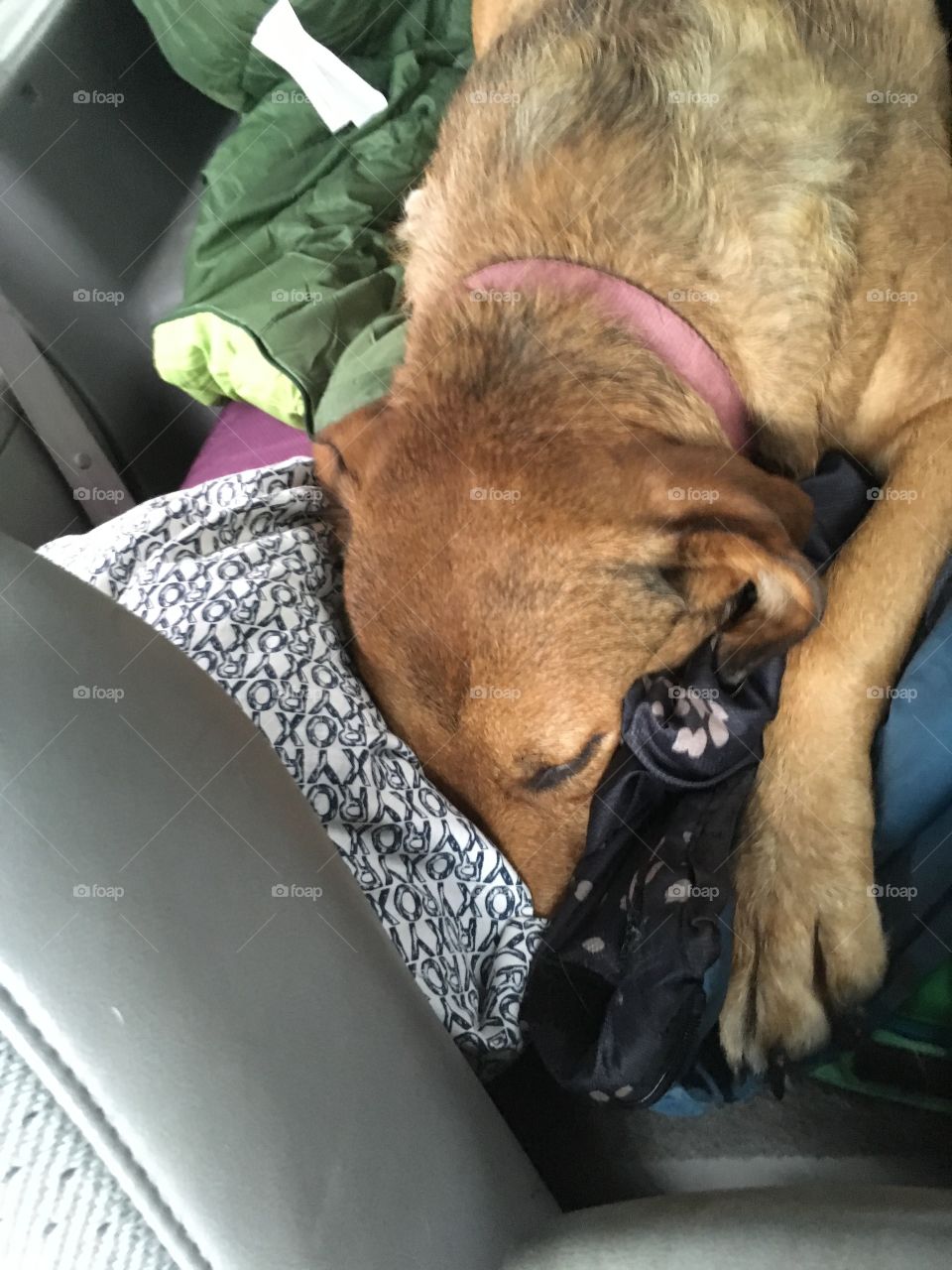 I get the best car ride best out of anyone I know! I love to bury my head in the blankets and pillows well we travel to fun places. 
