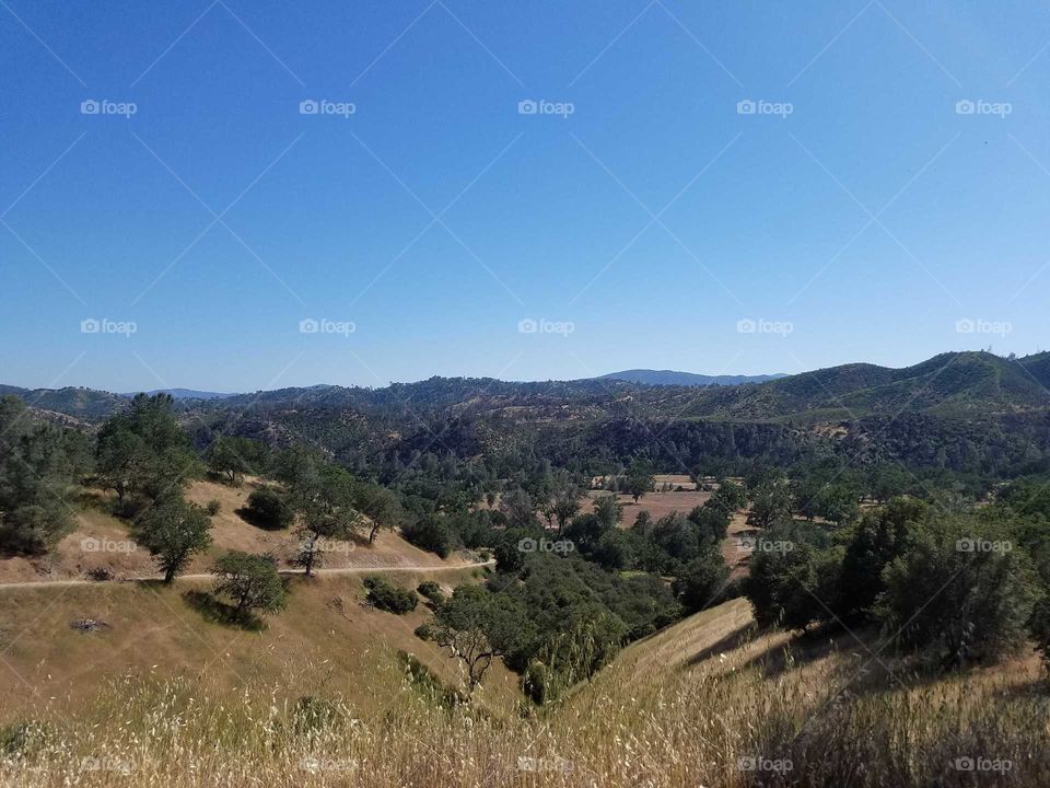 California Site