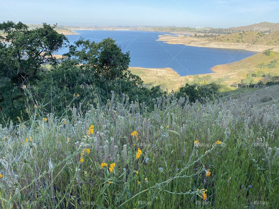 Millerton Lake