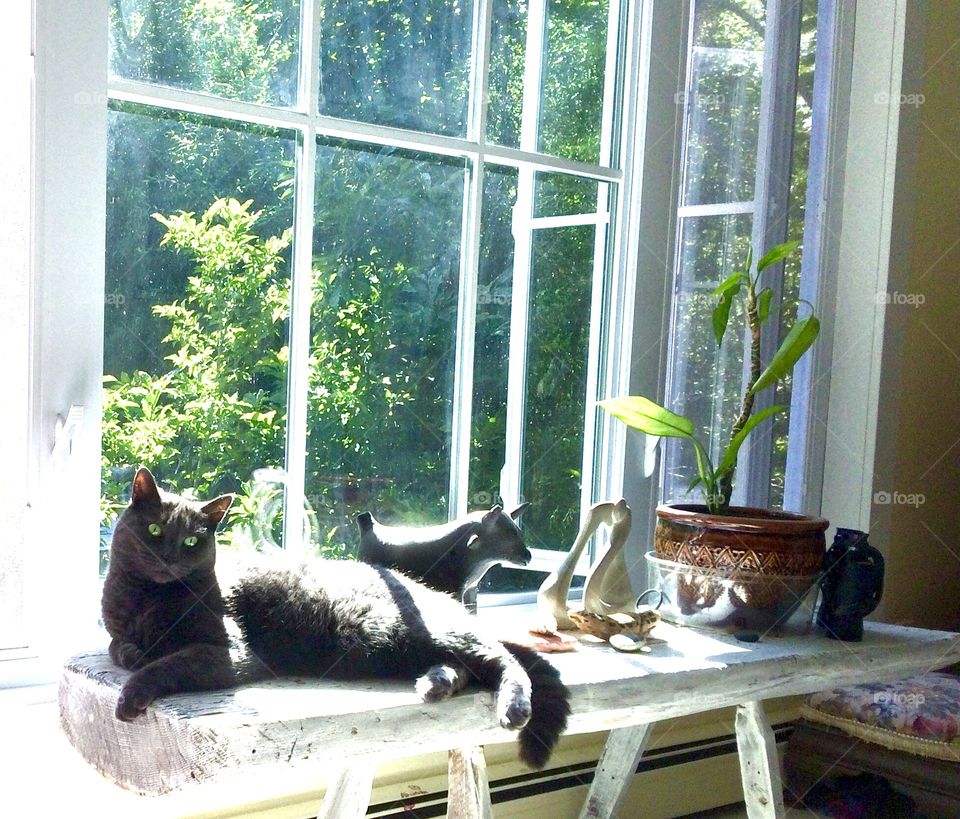 Summer day slumming easy breezy Sunday 