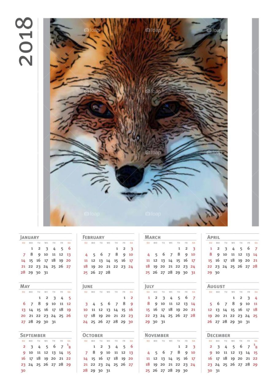 Date, Calendar, Planner, Daily Occurence, Almanac