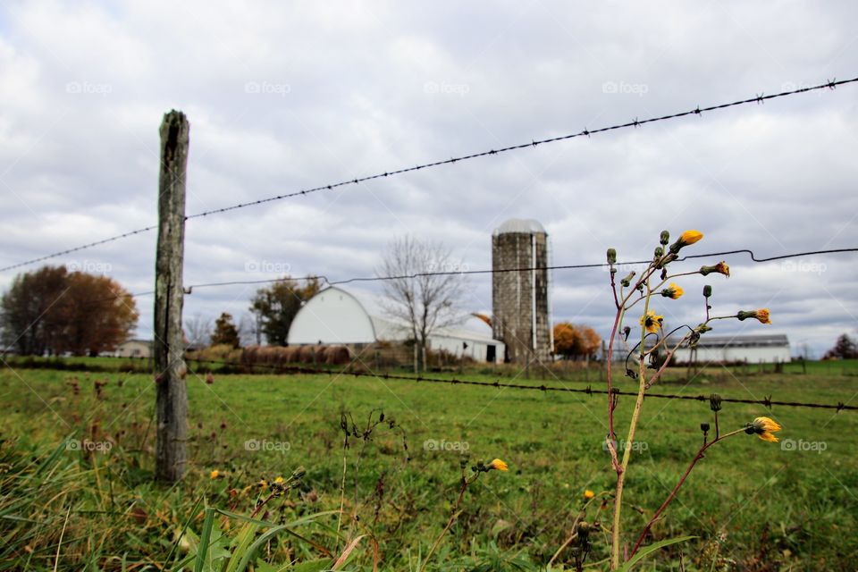 Barn in Ohio on Fall cloudy day