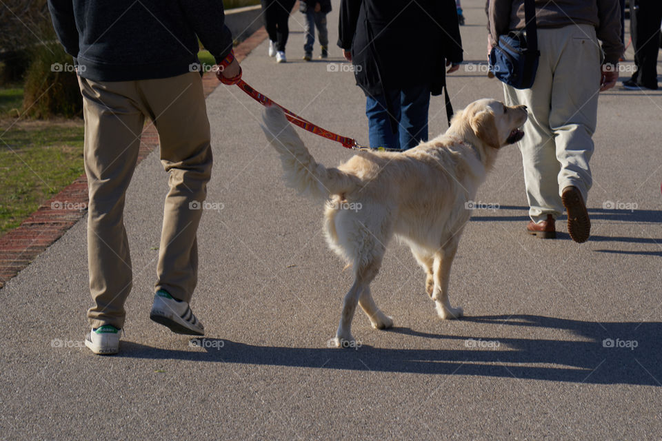 Sunday walk 