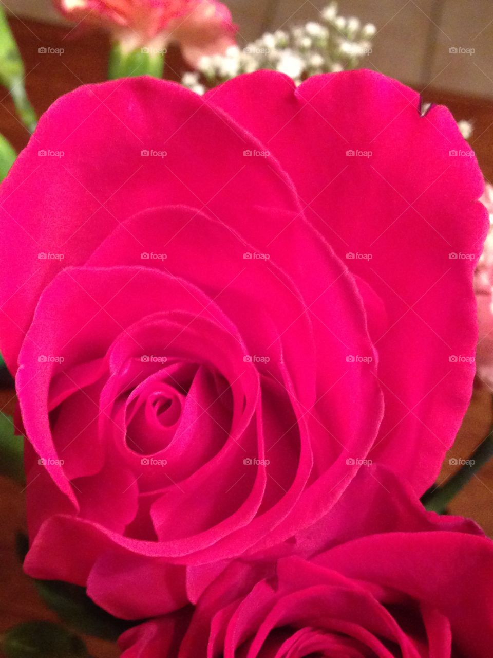 Stop and smell the roses. Close up of pink rose