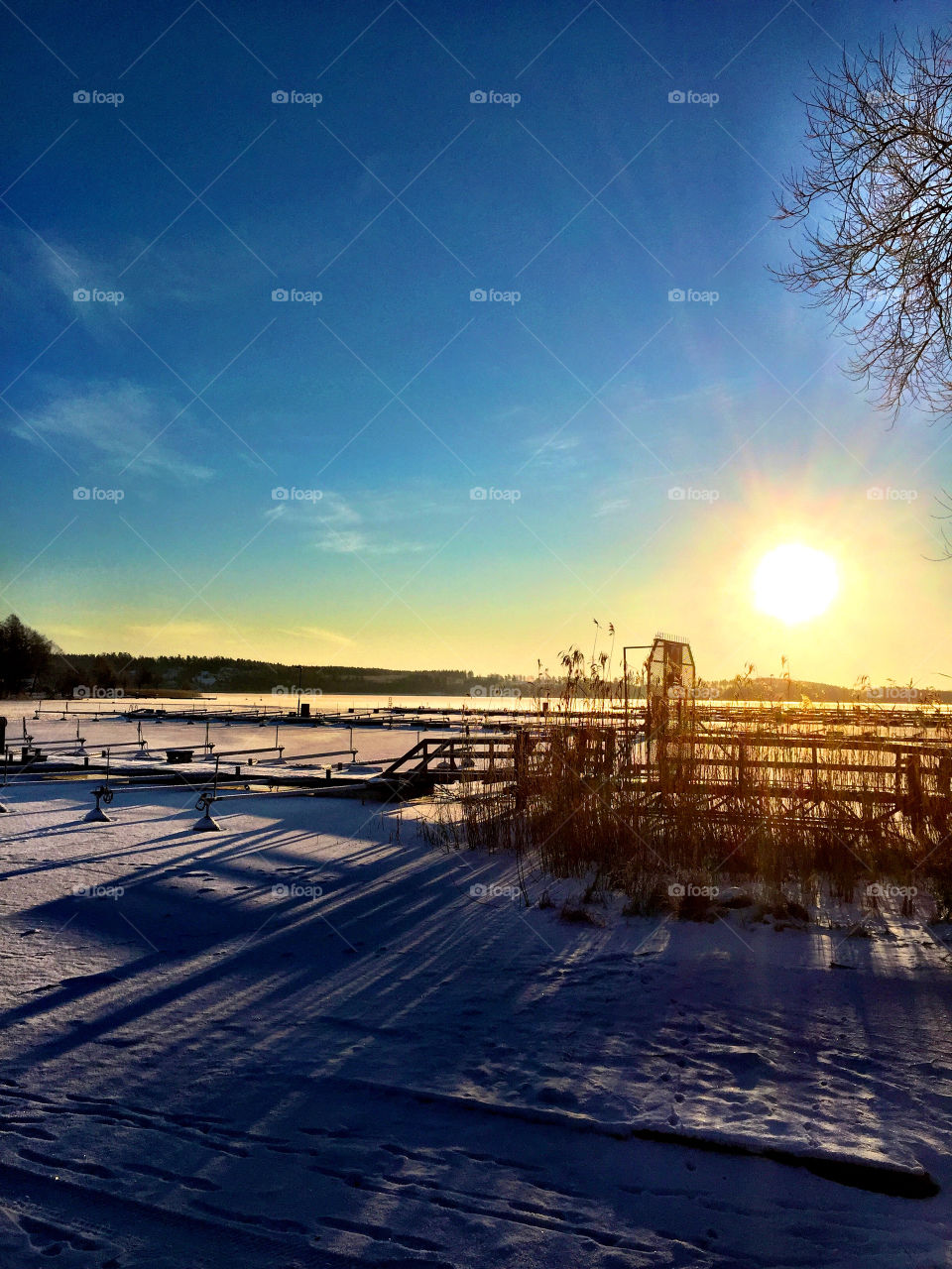 Beautiful winter landscape! 