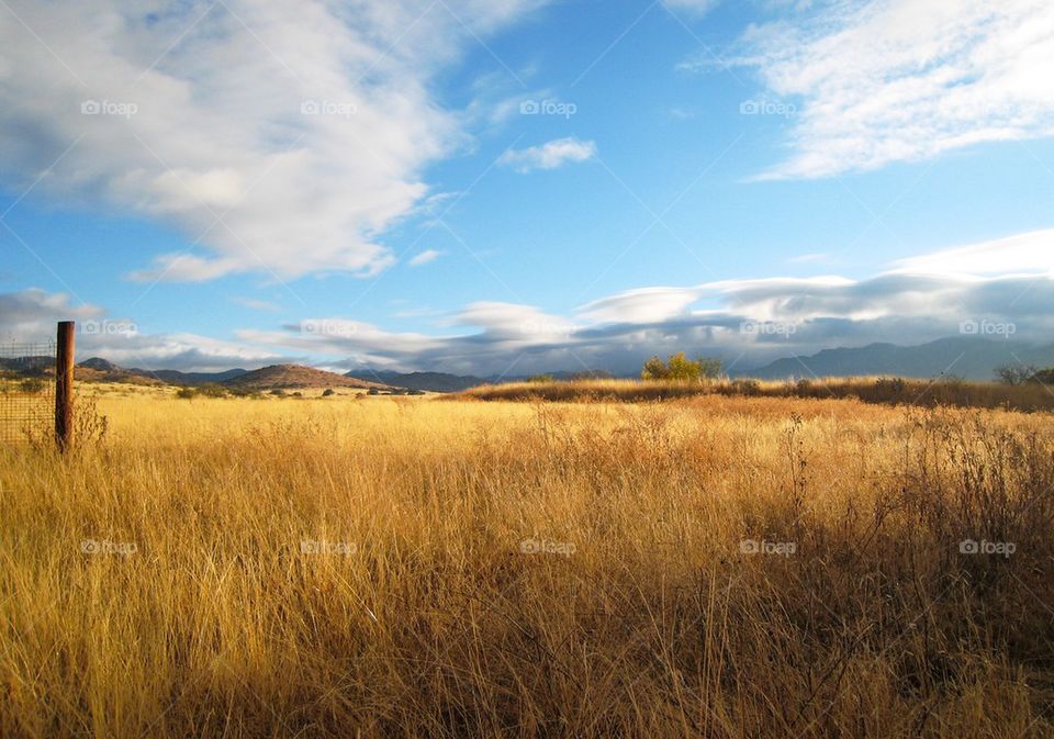 Arizona morning