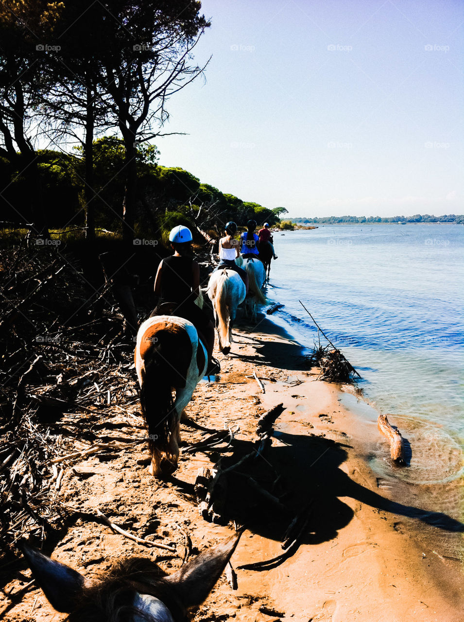 Horse riding on the beach in France
