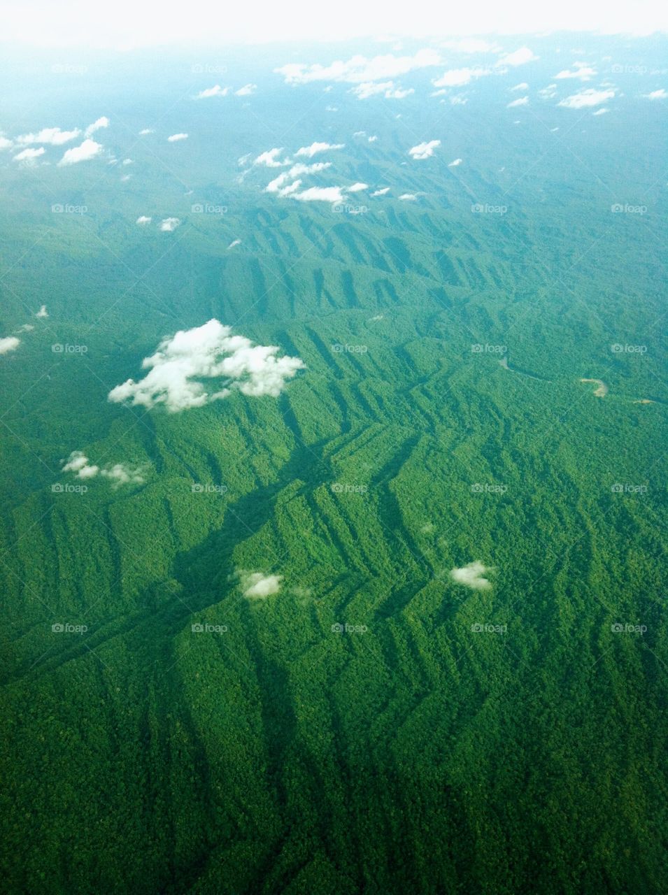 Papuan mountains in a beautiful pattern