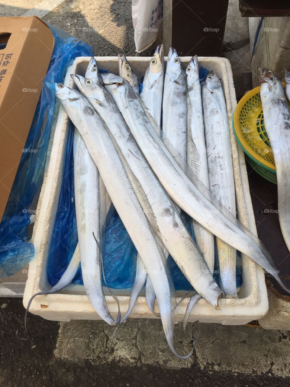 Market Fish. Taken at a South Korean street market