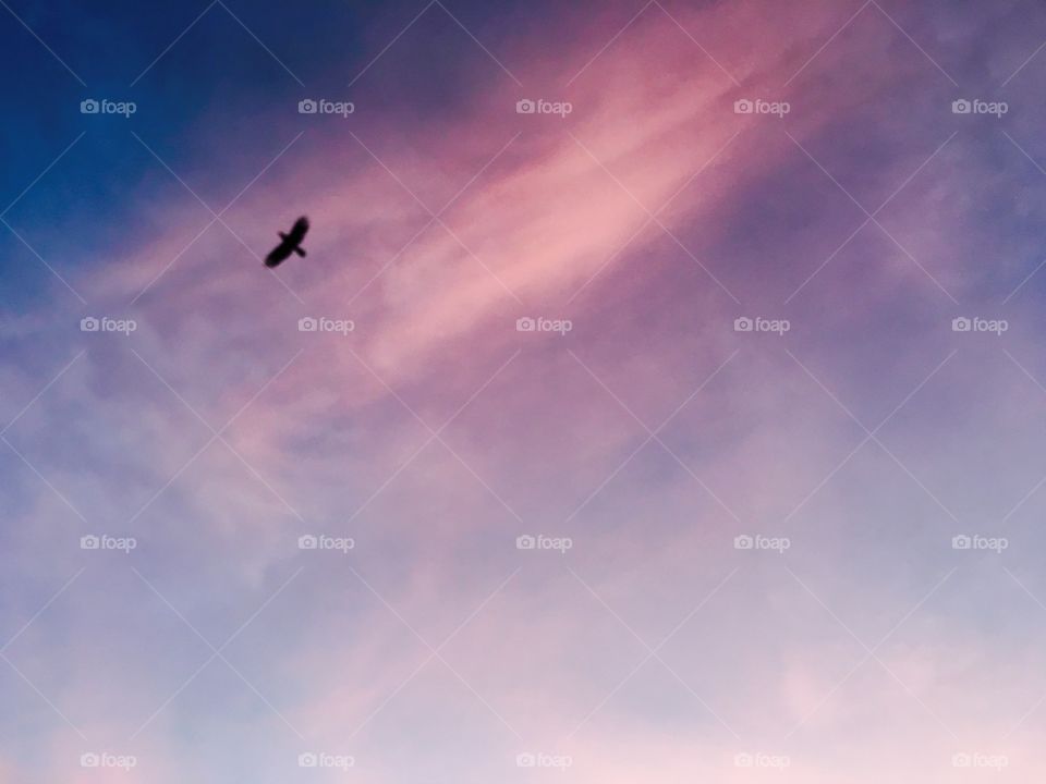 Gliding through the air like a hawk. 