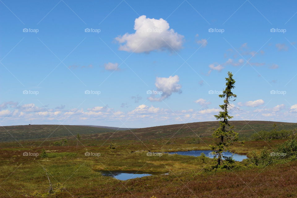 Mountains and lakes.